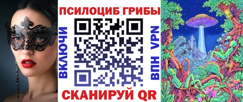 Галлюциногенные грибы MAGIC MUSHROOMS  Камышлов 